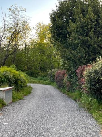 Appartamento Il Picchio Verde Altopascio Eksteriør billede